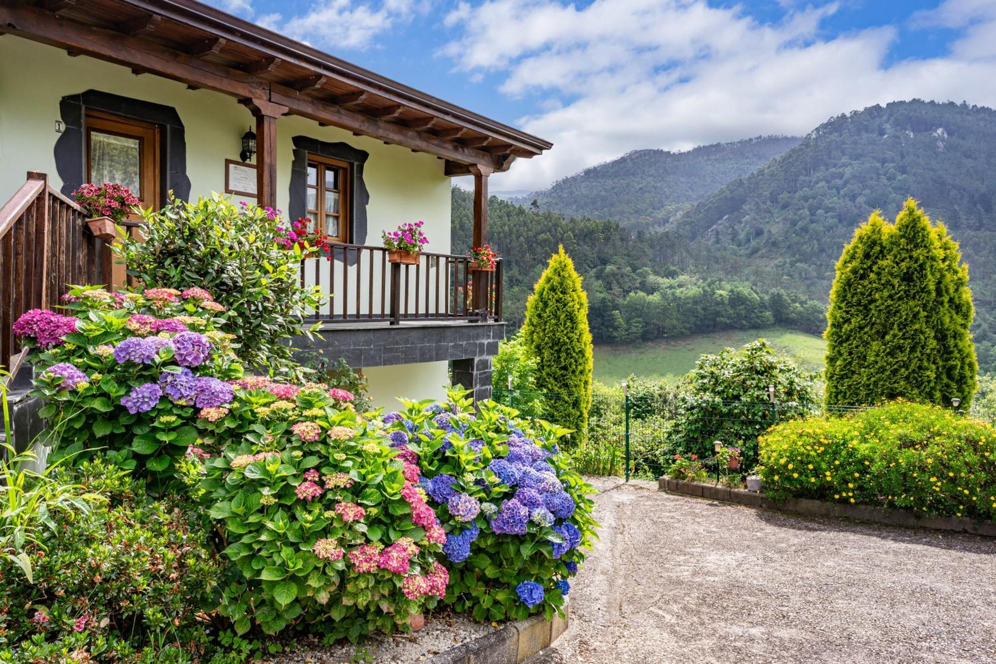 Maseda 1 Villa Villayón Екстериор снимка