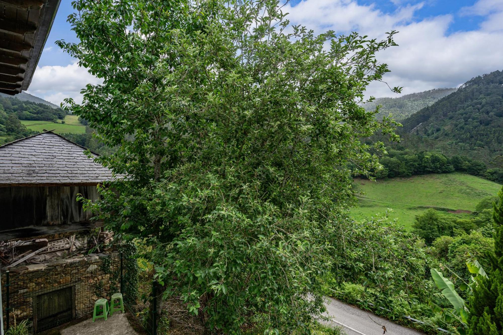 Maseda 1 Villa Villayón Екстериор снимка